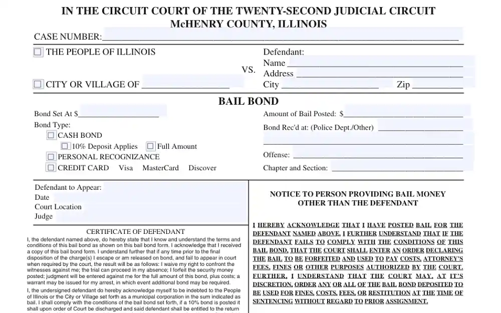 A screenshot of the bail bond form with details to be filled out, such as the case number, name, address, city, bond set and type, amount of bail posted, offense, chapter, and section.